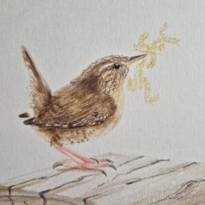 Wren II