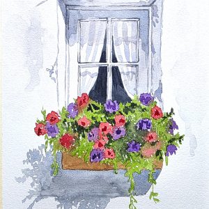The Window Box