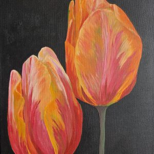 Tulips