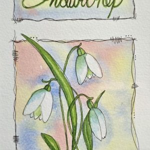 Spring Snowdrops