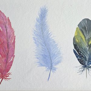 Three Feathers